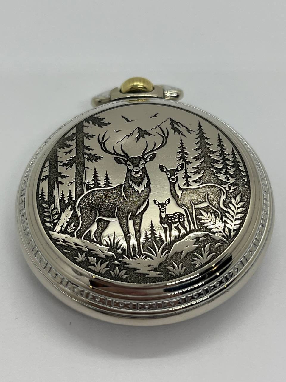 pocket watch case 18s